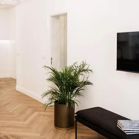 New Exquisite Cozy Baroque Portuguese Soul 2p Apartment